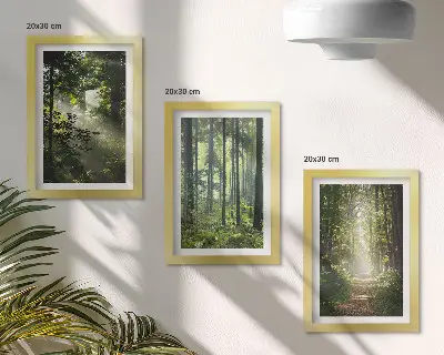 Juego de 3 cuadros decorativos con diseño de bosques verdes y sendero forestal bajo rayos de luz