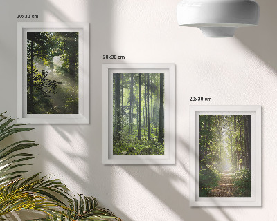 Juego de 3 cuadros decorativos Bosques verdes con rayos de luz y un sendero forestal