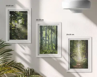 Juego de 3 cuadros decorativos con diseño de bosques verdes y sendero forestal bajo rayos de luz