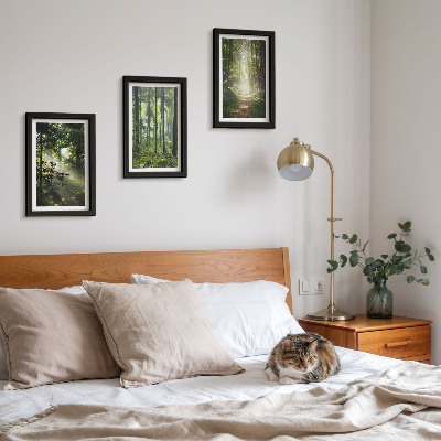 Juego de 3 cuadros decorativos Bosques verdes con rayos de luz y un sendero forestal