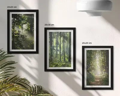 Juego de 3 cuadros decorativos con diseño de bosques verdes y sendero forestal bajo rayos de luz