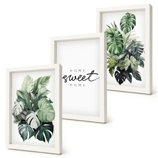 Juego de 3 cuadros decorativos con diseño de plantas verdes y frase Dulce Hogar