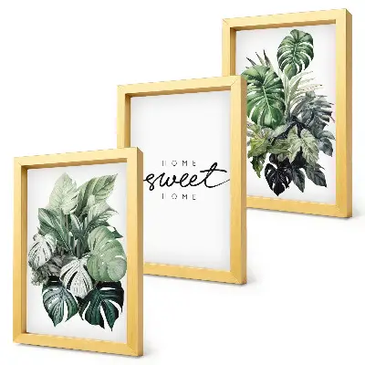 Juego de 3 cuadros decorativos con diseño de plantas verdes y frase Dulce Hogar
