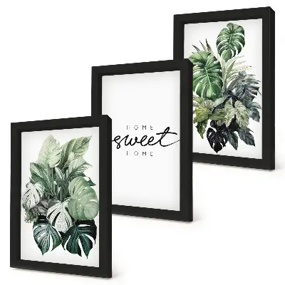 Juego de 3 cuadros decorativos con diseño de plantas verdes y frase Dulce Hogar