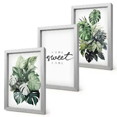 Juego de 3 cuadros decorativos con diseño de plantas verdes y frase Dulce Hogar