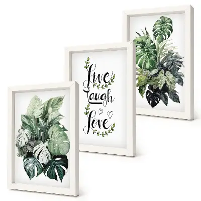 Tríptico enmarcado plantas de hojas verdes con las frases vive ríe ama