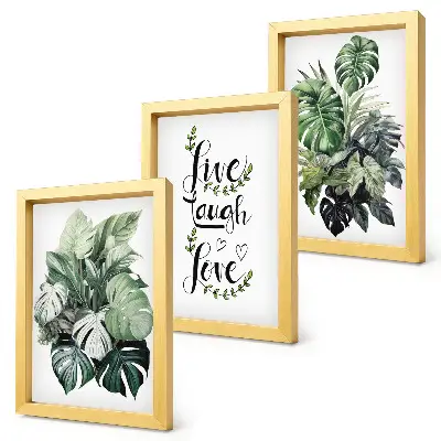 Tríptico enmarcado plantas de hojas verdes con las frases vive ríe ama
