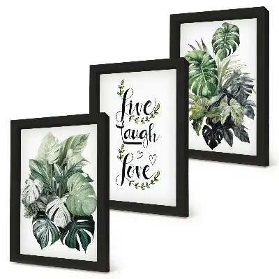 Tríptico enmarcado plantas de hojas verdes con las frases vive ríe ama