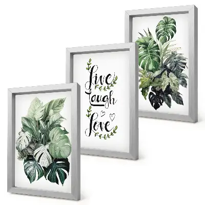 Tríptico enmarcado plantas de hojas verdes con las frases vive ríe ama