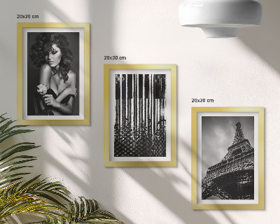 Juego de 3 cuadros decorativos Retrato de una mujer con una rosa, la Torre Eiffel y un patrón de piano.