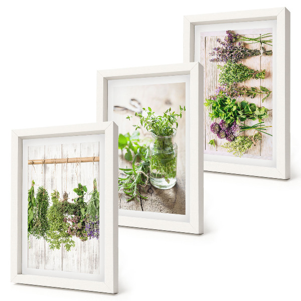 Tríptico enmarcado Secado de hierbas y plantas para la cocina