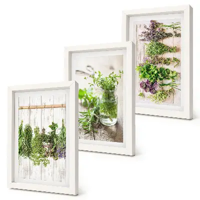 Tríptico enmarcado de secado de hierbas y plantas para la cocina