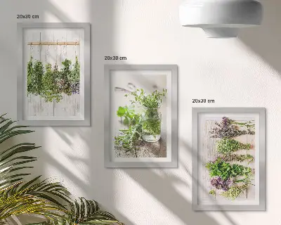 Tríptico enmarcado de secado de hierbas y plantas para la cocina