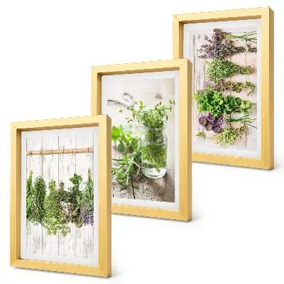 Tríptico enmarcado de secado de hierbas y plantas para la cocina