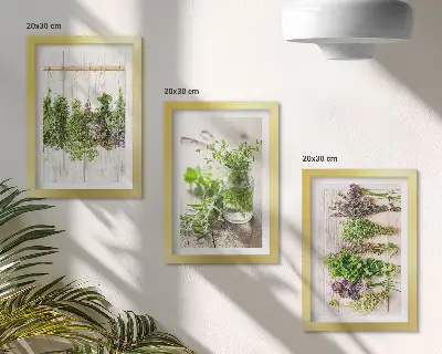 Tríptico enmarcado de secado de hierbas y plantas para la cocina