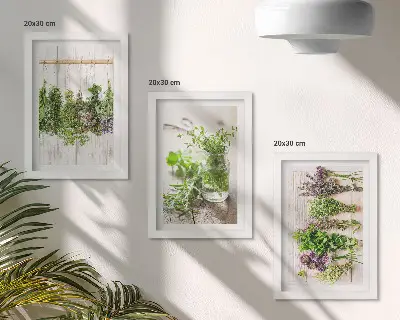 Tríptico enmarcado de secado de hierbas y plantas para la cocina