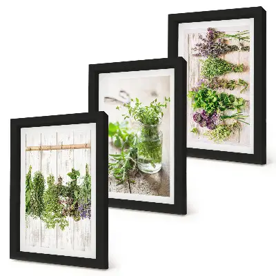 Tríptico enmarcado de secado de hierbas y plantas para la cocina