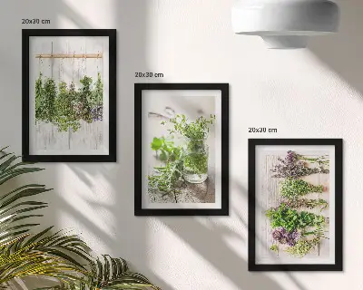 Tríptico enmarcado de secado de hierbas y plantas para la cocina