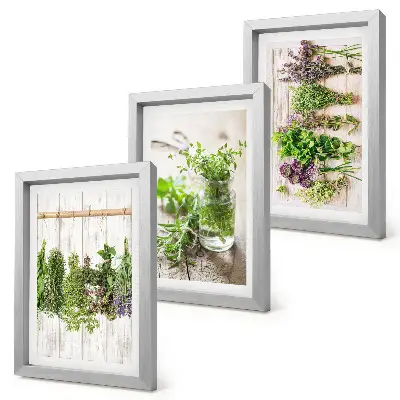 Tríptico enmarcado de secado de hierbas y plantas para la cocina