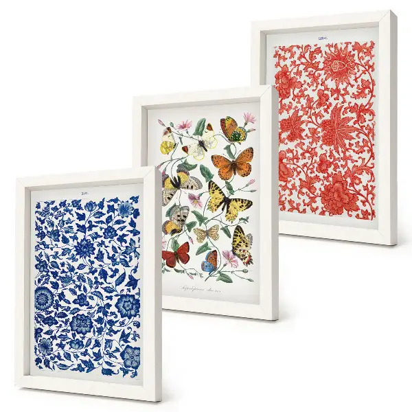Pósteres vintage de flores, mariposas y adornos tríptico enmarcado
