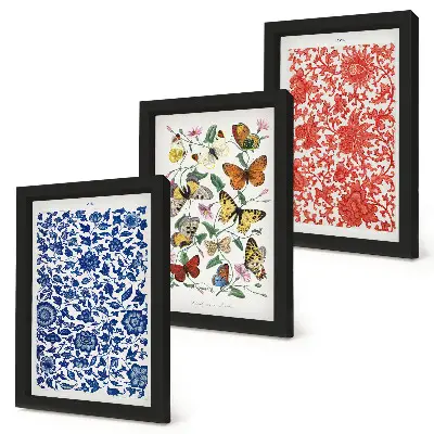 Pósteres vintage de flores, mariposas y adornos tríptico enmarcado