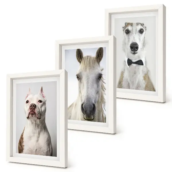 Tríptico enmarcado con retratos de perros y caballos en estilo elegante