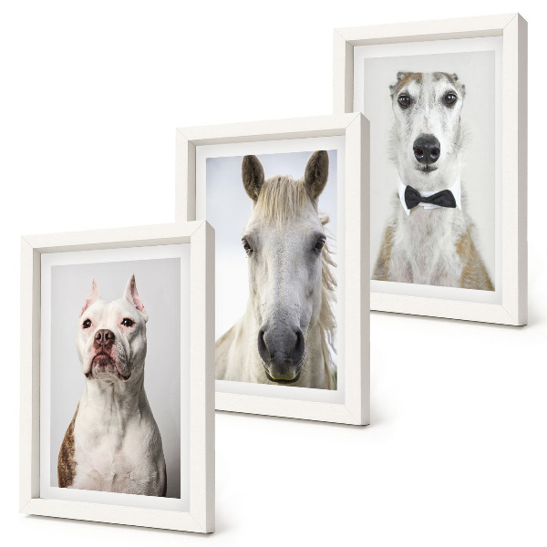 Tríptico enmarcado Interesantes retratos de perros y caballos en un estilo elegante.