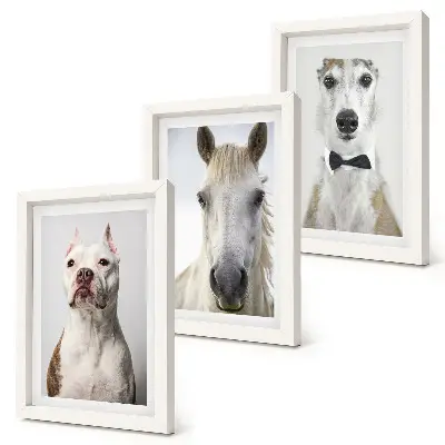 Tríptico enmarcado con retratos de perros y caballos en estilo elegante