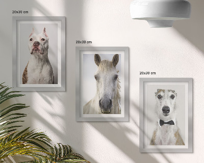 Tríptico enmarcado Interesantes retratos de perros y caballos en un estilo elegante.