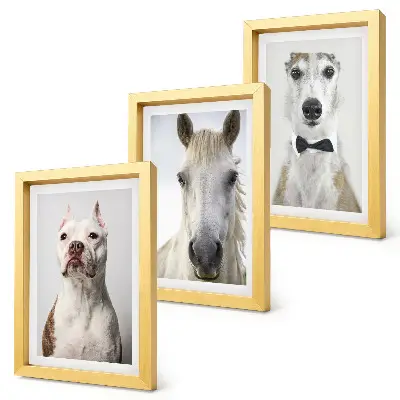 Tríptico enmarcado con retratos de perros y caballos en estilo elegante
