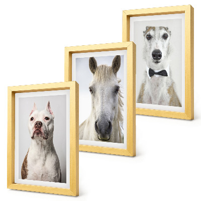 Tríptico enmarcado Interesantes retratos de perros y caballos en un estilo elegante.
