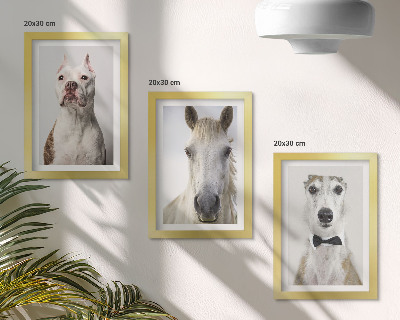 Tríptico enmarcado Interesantes retratos de perros y caballos en un estilo elegante.