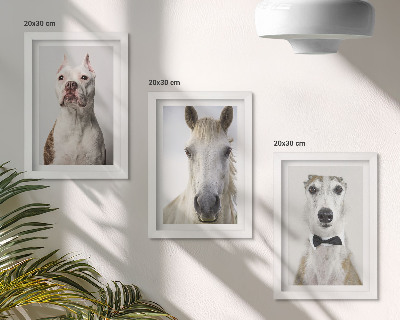 Tríptico enmarcado Interesantes retratos de perros y caballos en un estilo elegante.
