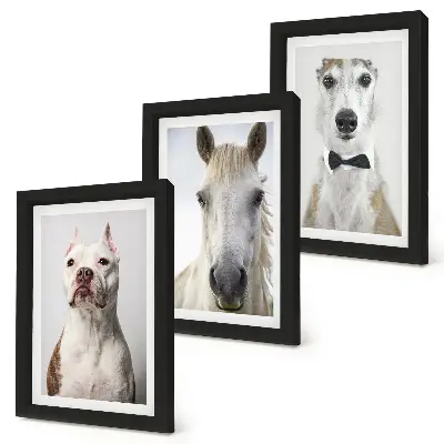 Tríptico enmarcado con retratos de perros y caballos en estilo elegante