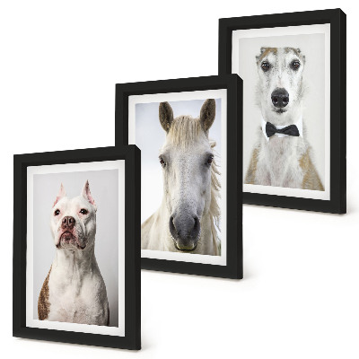 Tríptico enmarcado Interesantes retratos de perros y caballos en un estilo elegante.