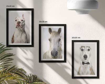 Tríptico enmarcado Interesantes retratos de perros y caballos en un estilo elegante.