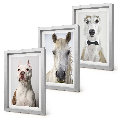 Tríptico enmarcado Interesantes retratos de perros y caballos en un estilo elegante.