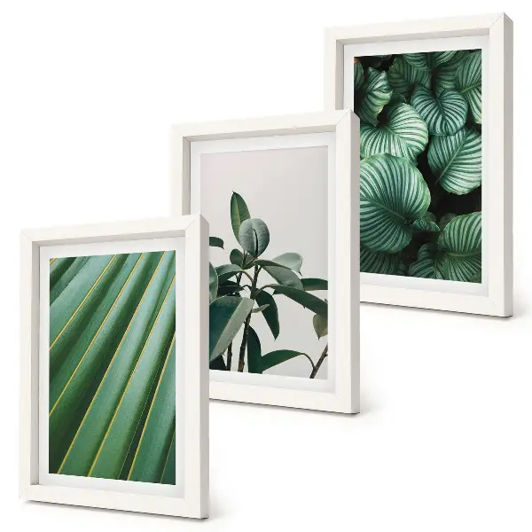 Juego de 3 cuadros decorativos con diseño de hojas tropicales en tonos verdes