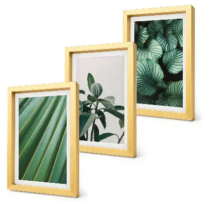 Juego de 3 cuadros decorativos con diseño de hojas tropicales en tonos verdes