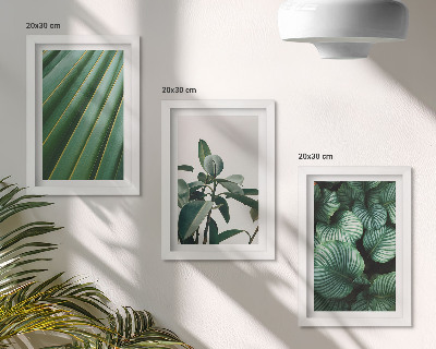 Juego de 3 cuadros decorativos Hojas tropicales estéticas en varios tonos de verde.