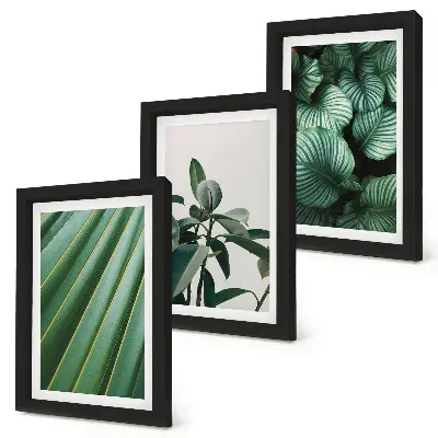 Juego de 3 cuadros decorativos con diseño de hojas tropicales en tonos verdes