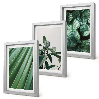 Juego de 3 cuadros decorativos con diseño de hojas tropicales en tonos verdes