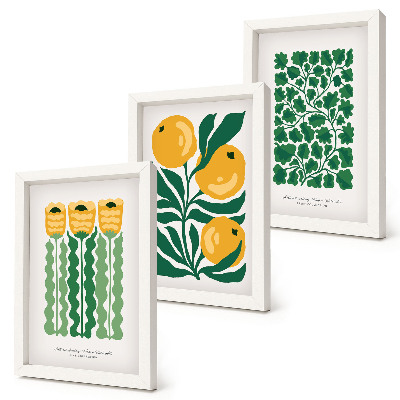 Juego de 3 cuadros decorativos Pósteres con motivos vegetales de flores y hojas
