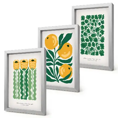 Juego de 3 cuadros decorativos con motivos vegetales de flores y hojas