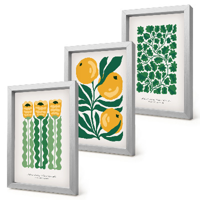 Juego de 3 cuadros decorativos Pósteres con motivos vegetales de flores y hojas