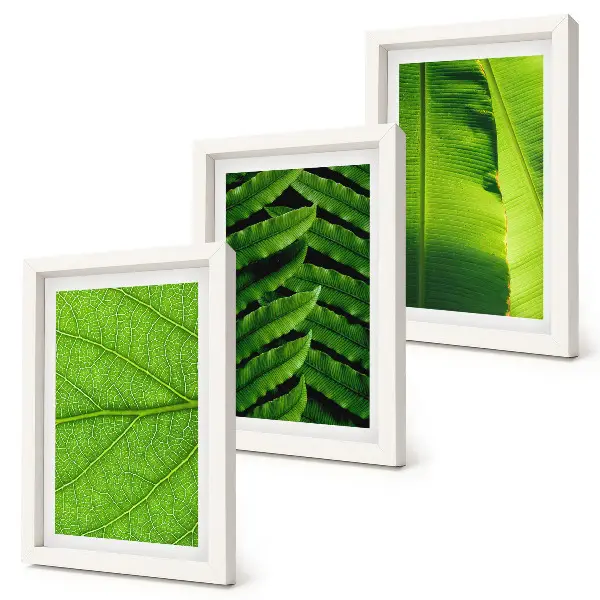 Tríptico de hojas tropicales enmarcado con primeros planos