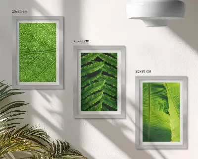 Tríptico de hojas tropicales enmarcado con primeros planos