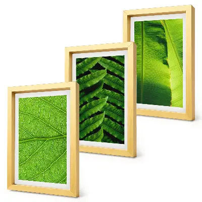 Tríptico de hojas tropicales enmarcado con primeros planos