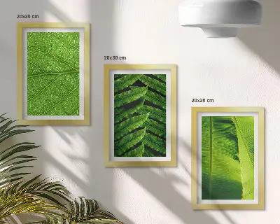 Tríptico de hojas tropicales enmarcado con primeros planos