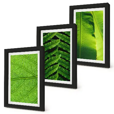 Tríptico de hojas tropicales enmarcado con primeros planos